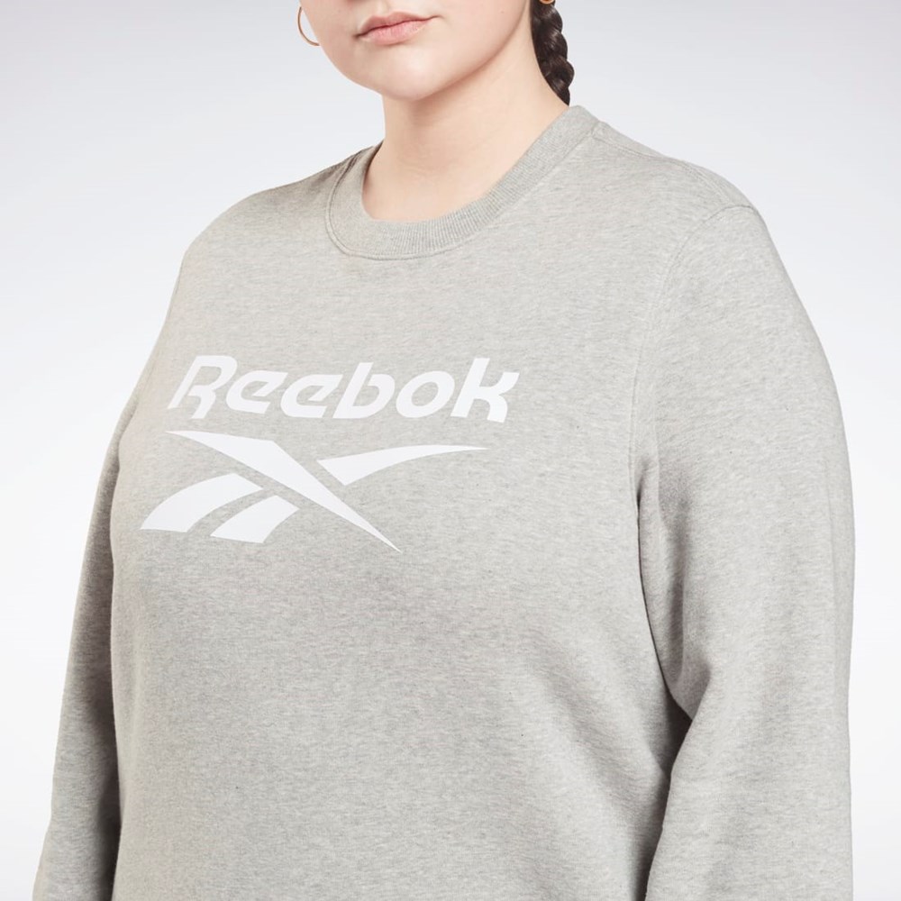 Reebok Reebok Identity Logo Fleece Crew Sweatshirt (Plus Size) Harmaat | TADGKM-470