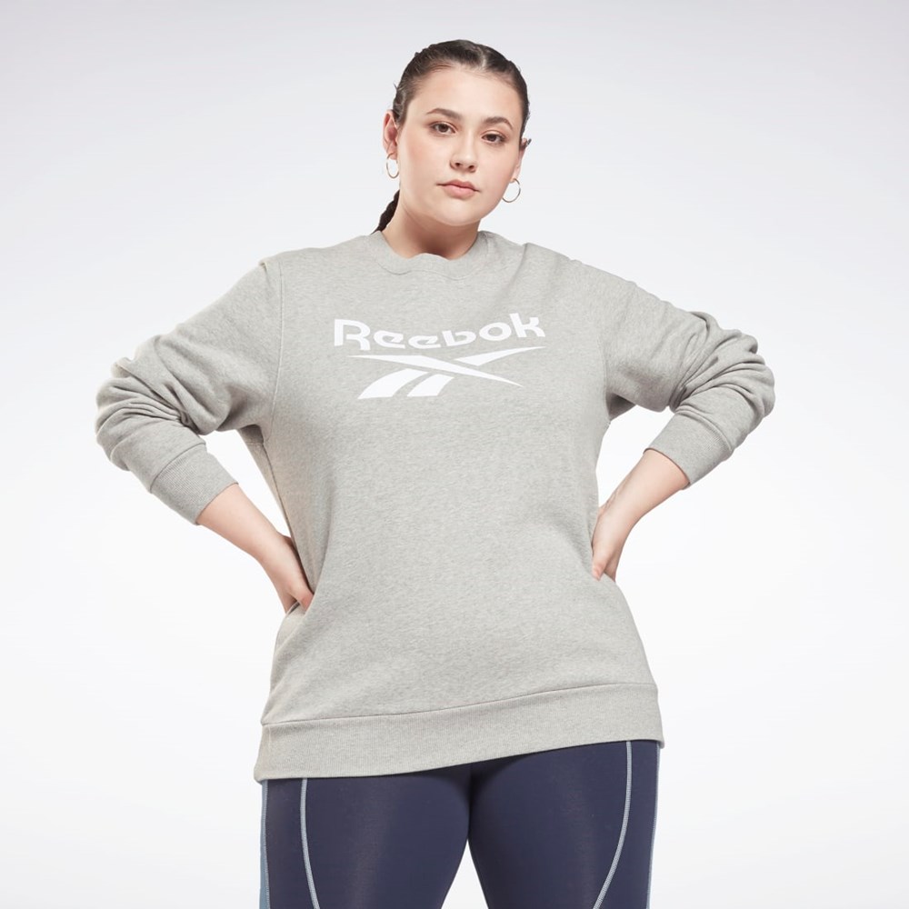 Reebok Reebok Identity Logo Fleece Crew Sweatshirt (Plus Size) Harmaat | TADGKM-470