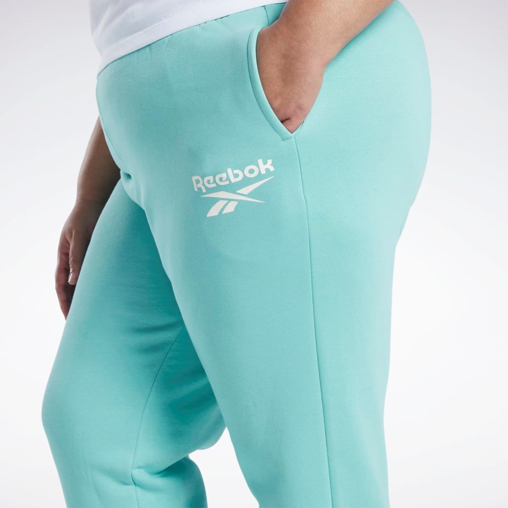 Reebok Reebok Identity Logo Fleece Joggers (Plus Size) Semi Classic Teal | IPCGHL-704