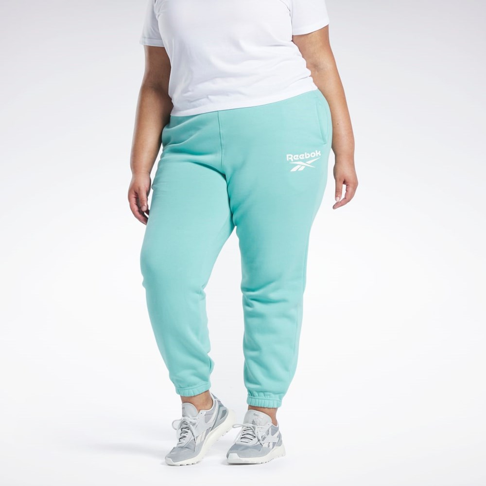 Reebok Reebok Identity Logo Fleece Joggers (Plus Size) Semi Classic Teal | IPCGHL-704