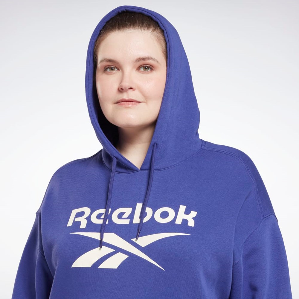 Reebok Reebok Identity Logo Fleece Pullover Hoodie (Plus Size) Violetit | JSLNQI-648