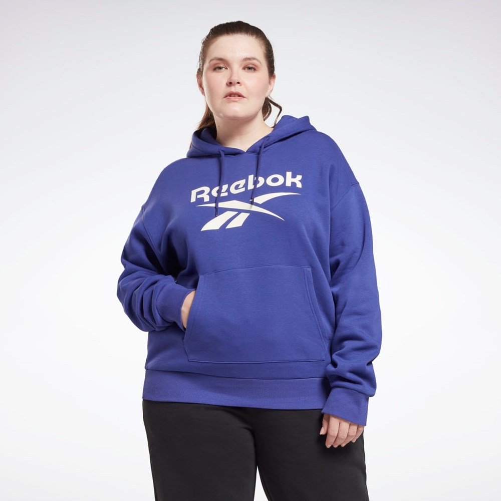 Reebok Reebok Identity Logo Fleece Pullover Hoodie (Plus Size) Violetit | JSLNQI-648