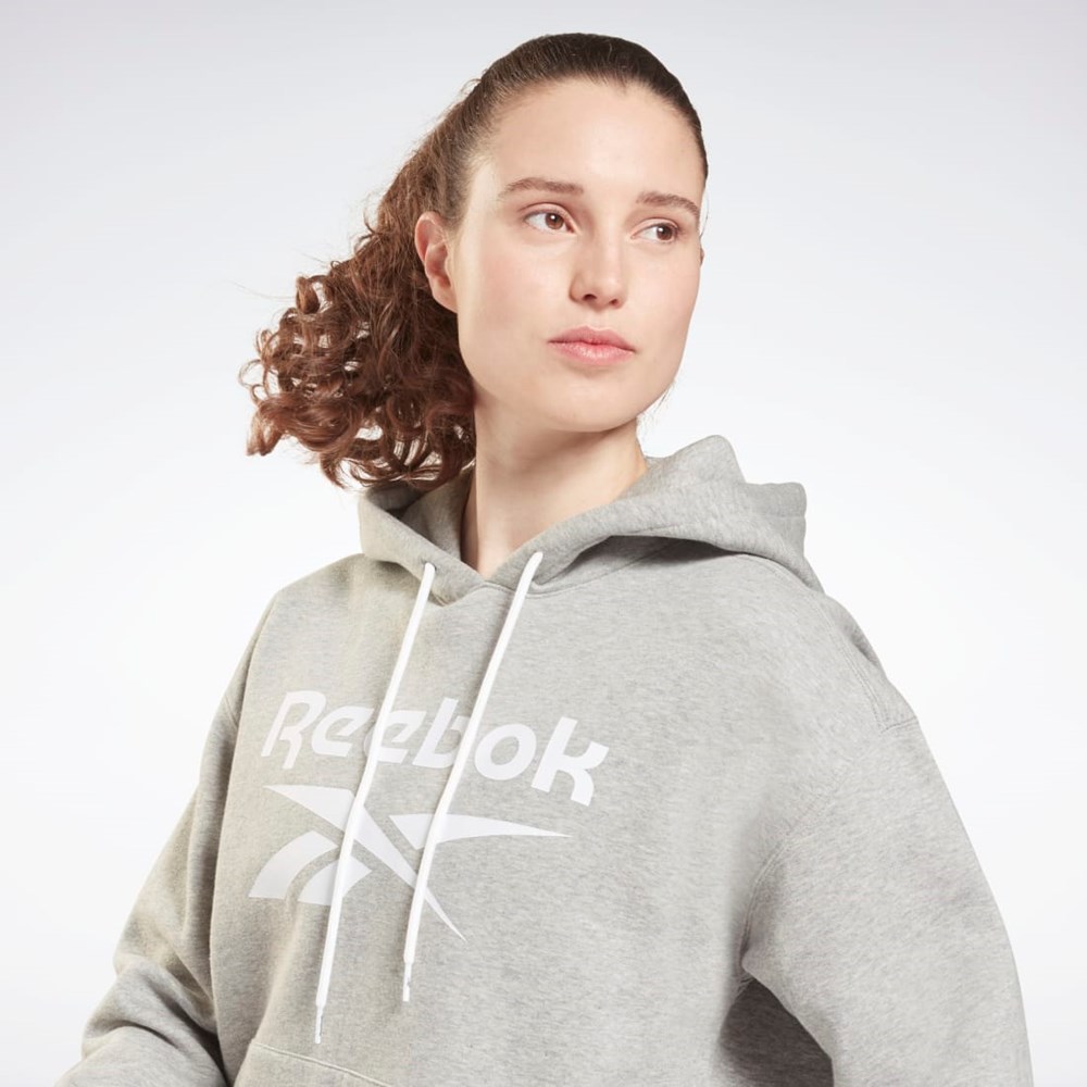 Reebok Reebok Identity Logo Fleece Pullover Hoodie Harmaat | OJTCLD-371