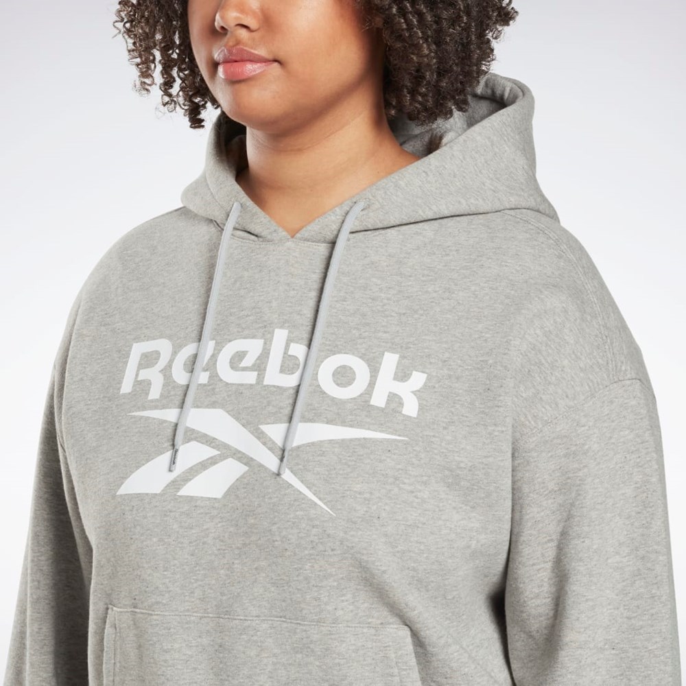 Reebok Reebok Identity Logo Fleece Pullover Hoodie (Plus Size) Harmaat | QIZUME-425