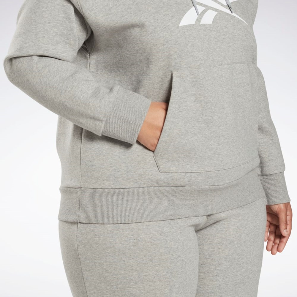 Reebok Reebok Identity Logo Fleece Pullover Hoodie (Plus Size) Harmaat | QIZUME-425