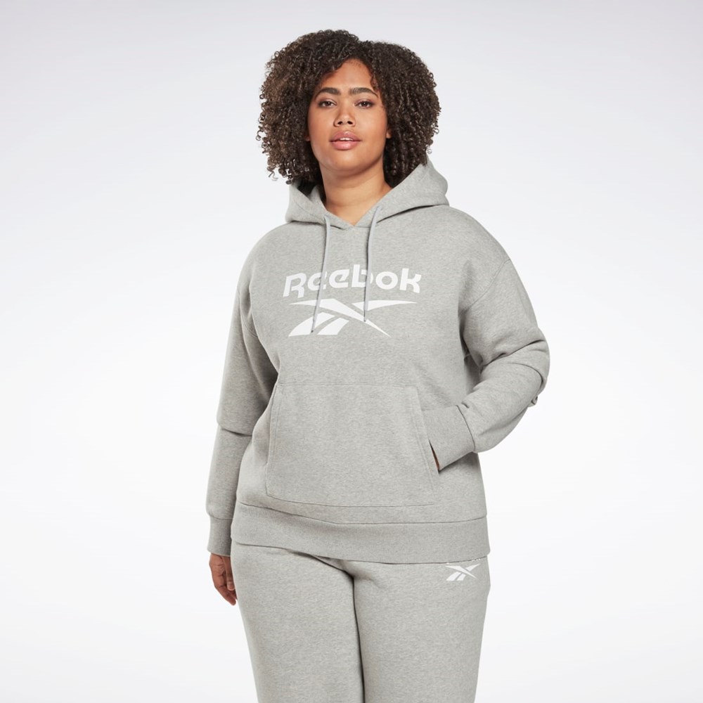 Reebok Reebok Identity Logo Fleece Pullover Hoodie (Plus Size) Harmaat | QIZUME-425