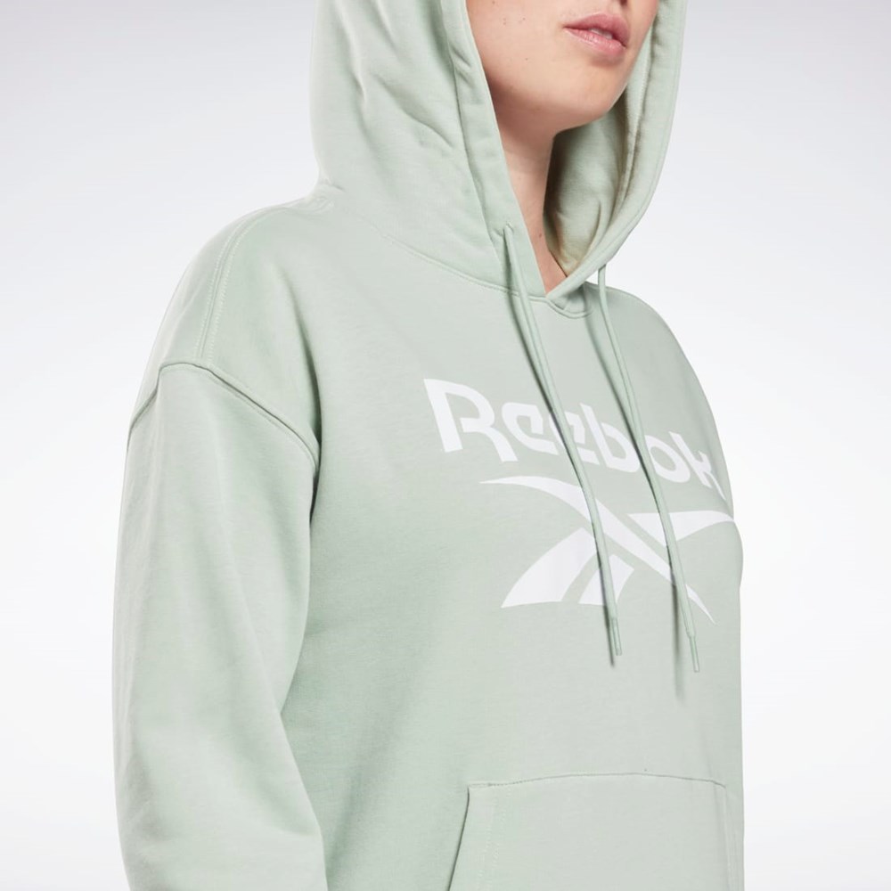 Reebok Reebok Identity Logo French Terry Hoodie Vaalean | LVPQSA-780