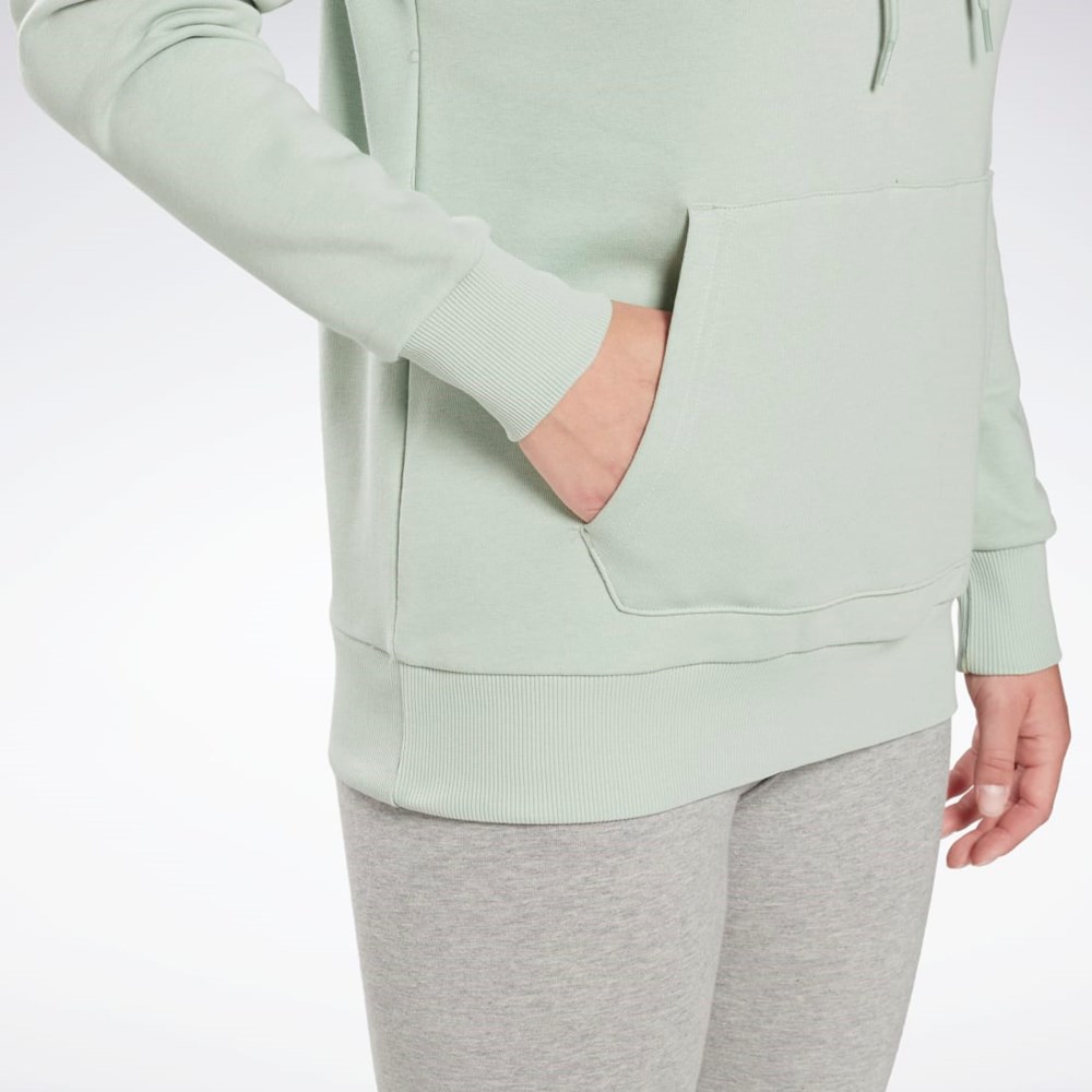 Reebok Reebok Identity Logo French Terry Hoodie Vaalean | LVPQSA-780
