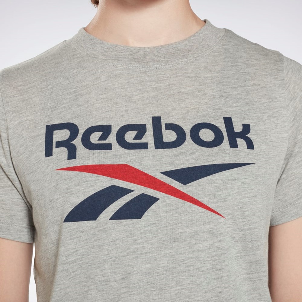 Reebok Reebok Identity Logo T-Shirt Harmaat | WHDTGM-834