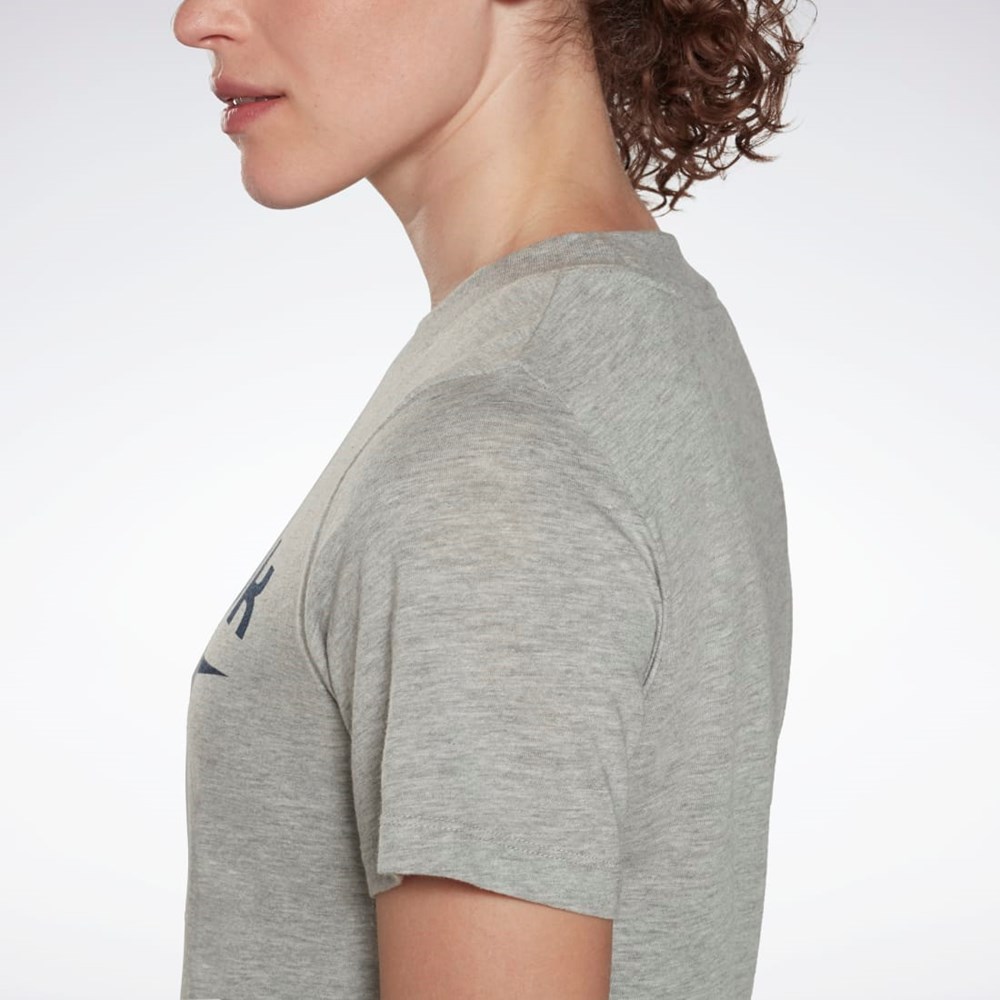 Reebok Reebok Identity Logo T-Shirt Harmaat | WHDTGM-834