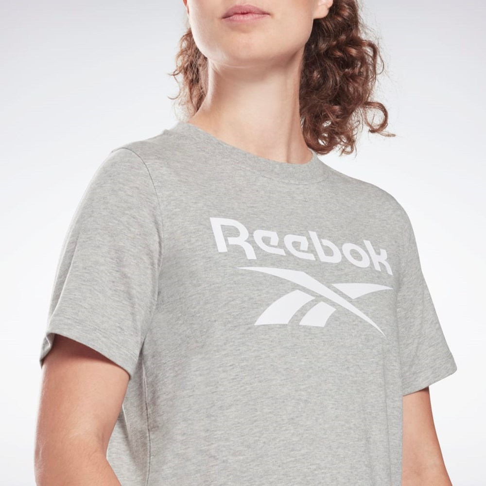 Reebok Reebok Identity T-Shirt Harmaat | ZUGEQA-658