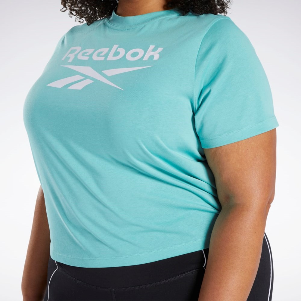 Reebok Reebok Identity T-Shirt (Plus Size) Semi Classic Teal | KVHYAD-450