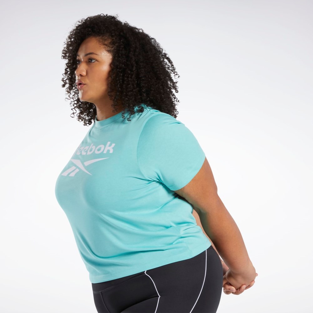 Reebok Reebok Identity T-Shirt (Plus Size) Semi Classic Teal | KVHYAD-450