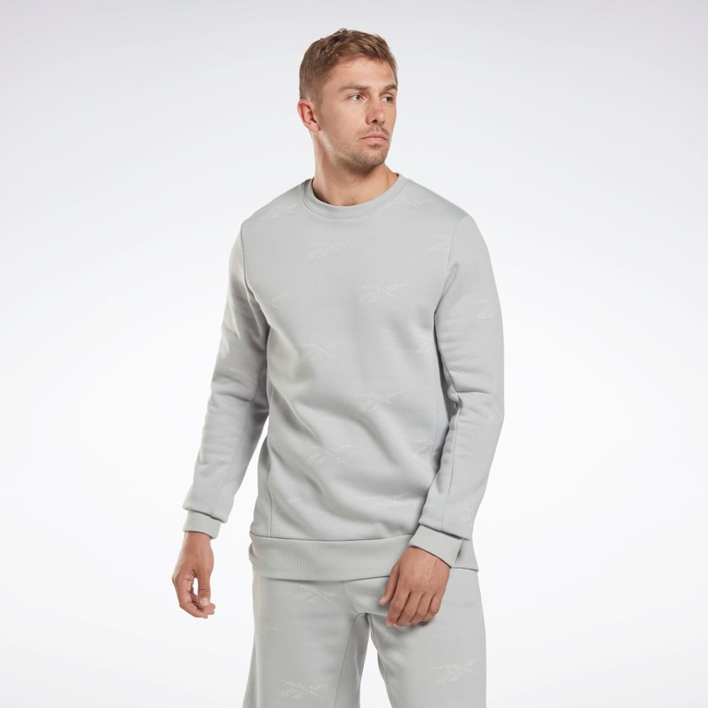 Reebok Reebok Identity Vector Fleece Crew Sweatshirt Harmaat | UJPCRK-672