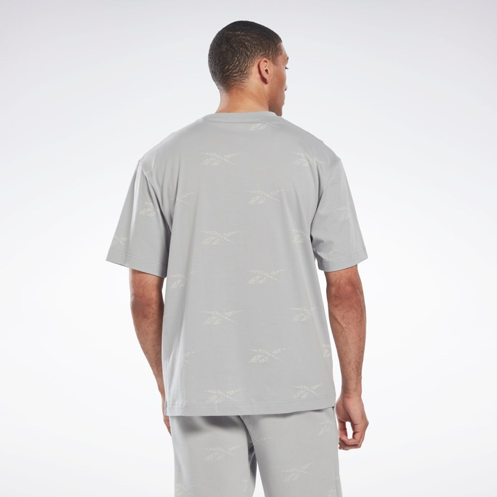 Reebok Reebok Identity Vector T-Shirt Harmaat | KXVHJB-685