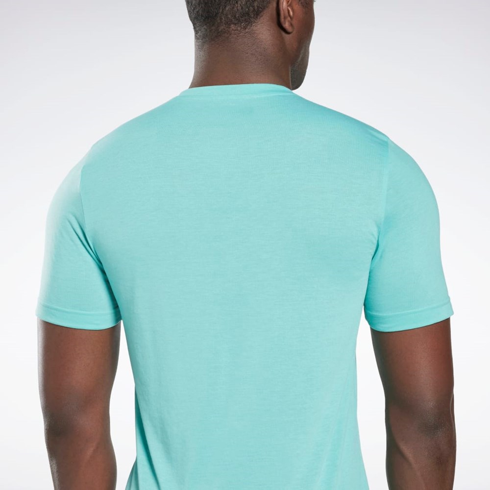Reebok Reebok Life Is Not a Spectator Urheilu Graafinen T-Shirt Semi Classic Teal | IHXOSJ-986