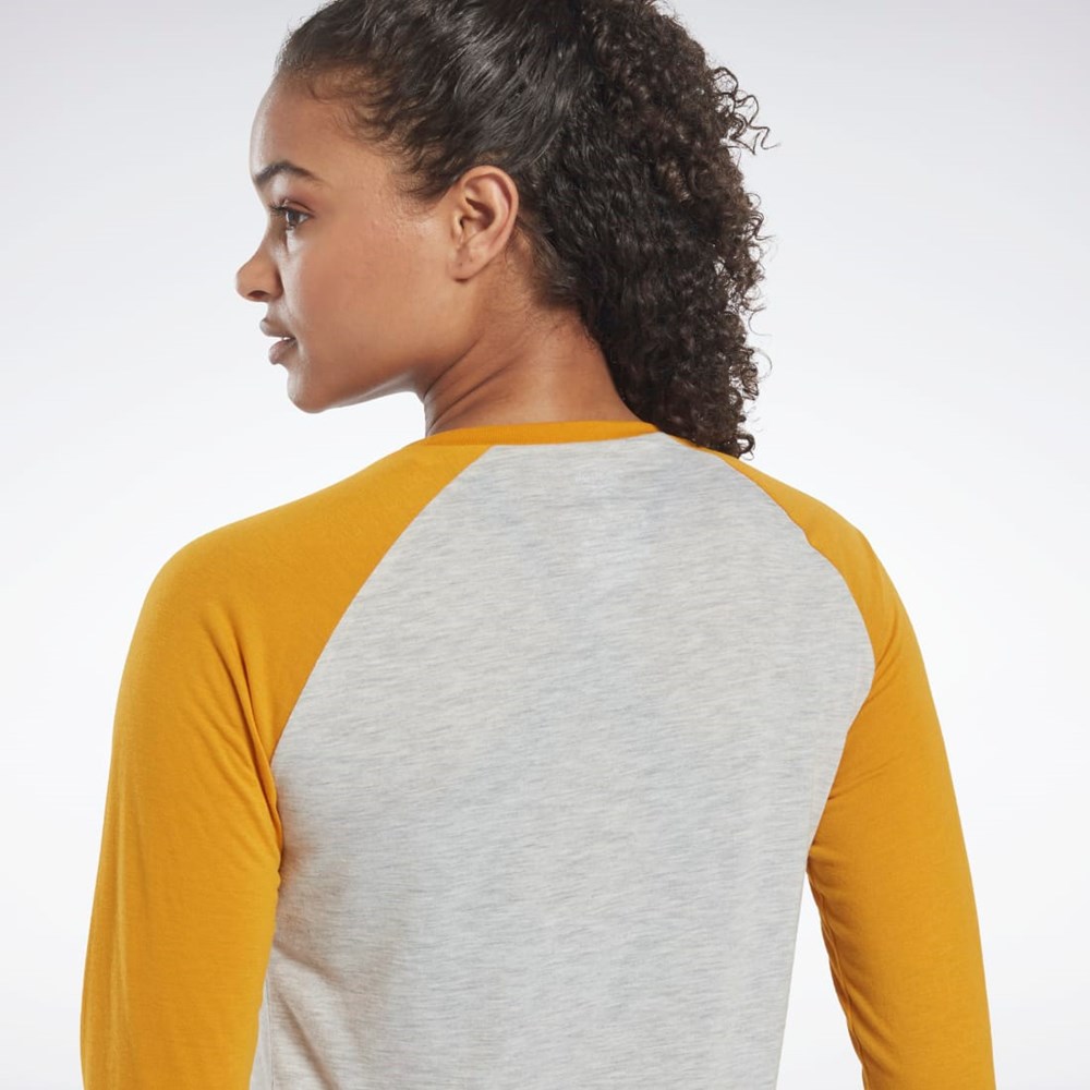 Reebok Workout Ready Baseball T-Shirt Vaaleanharmaat | ENKXHA-205