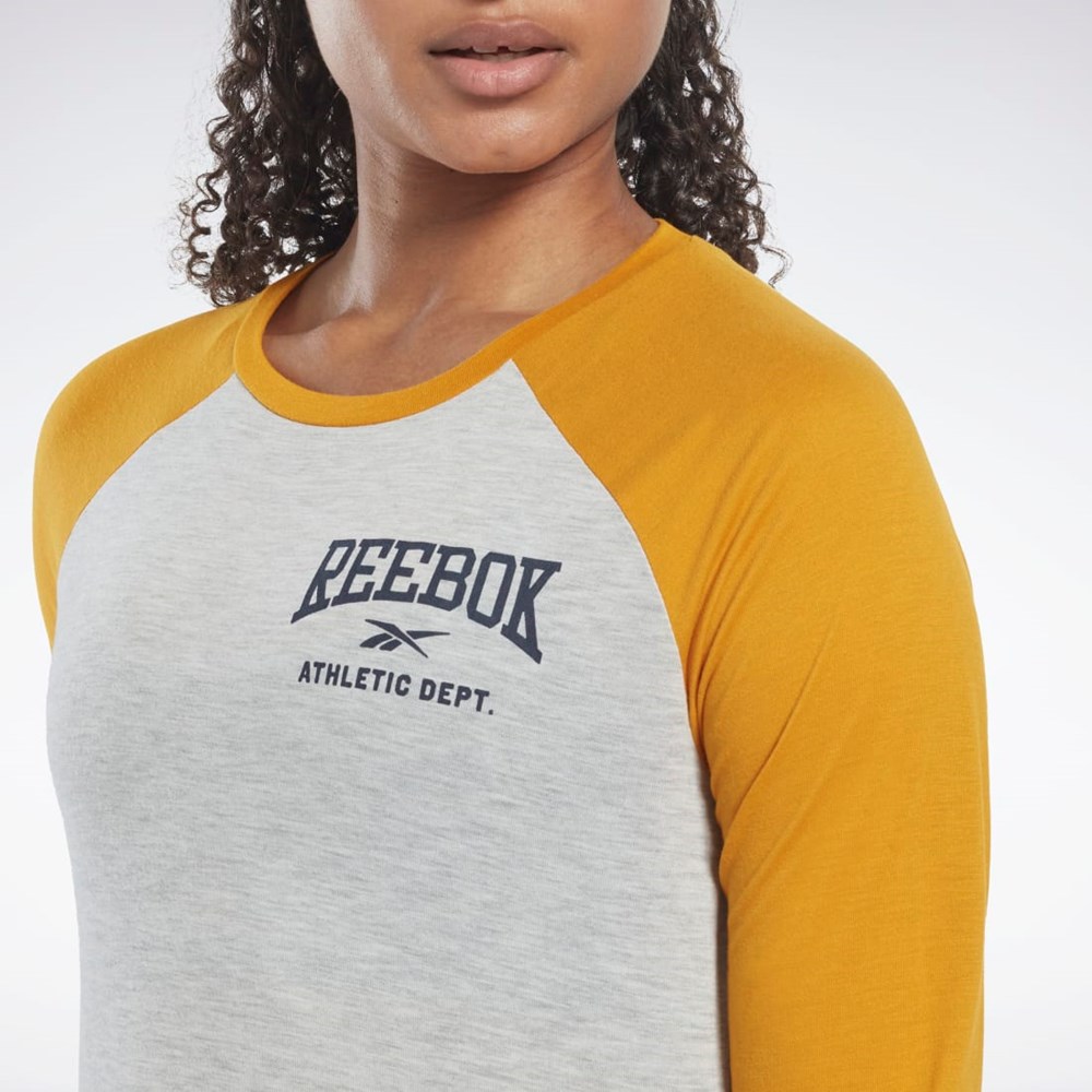 Reebok Workout Ready Baseball T-Shirt Vaaleanharmaat | ENKXHA-205
