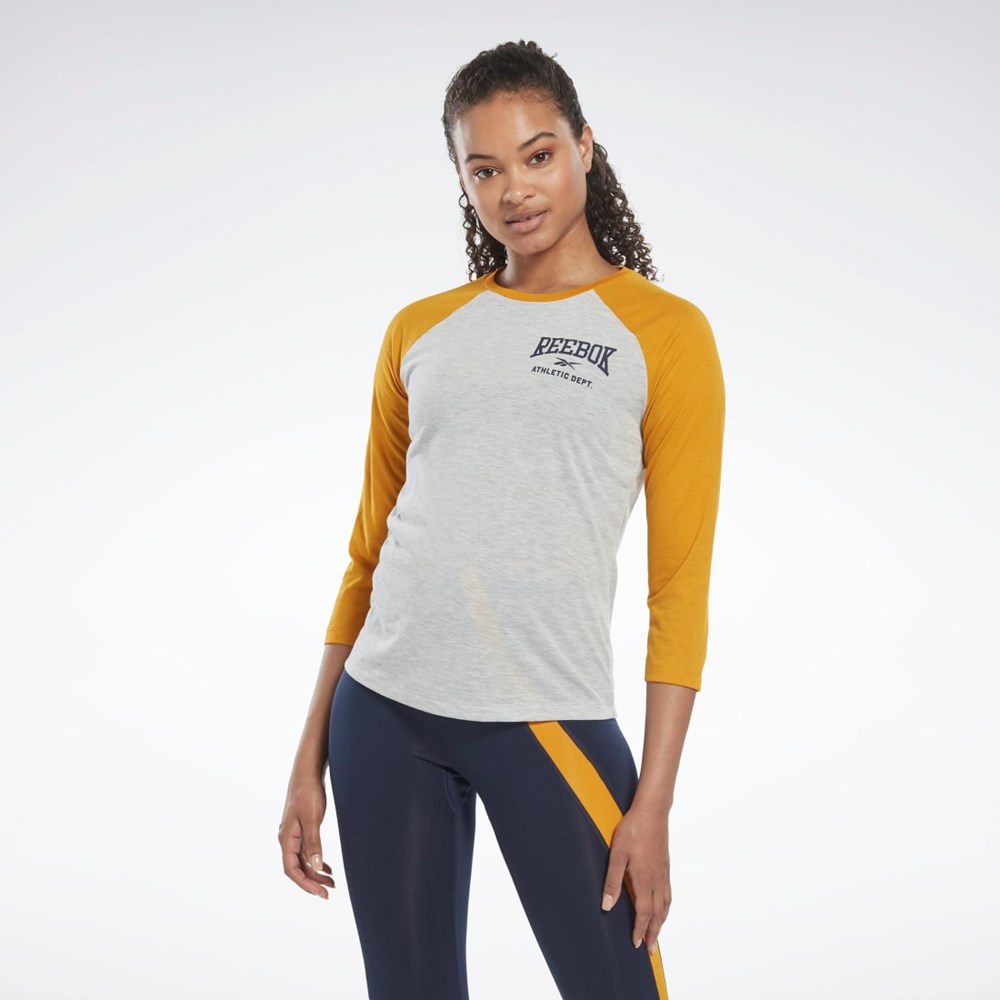 Reebok Workout Ready Baseball T-Shirt Vaaleanharmaat | ENKXHA-205