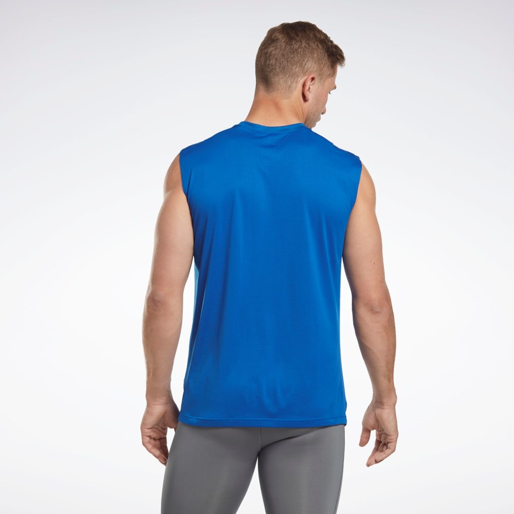 Reebok Workout Ready Hihattomat Tech T-Shirt Sininen | EMQIWJ-543