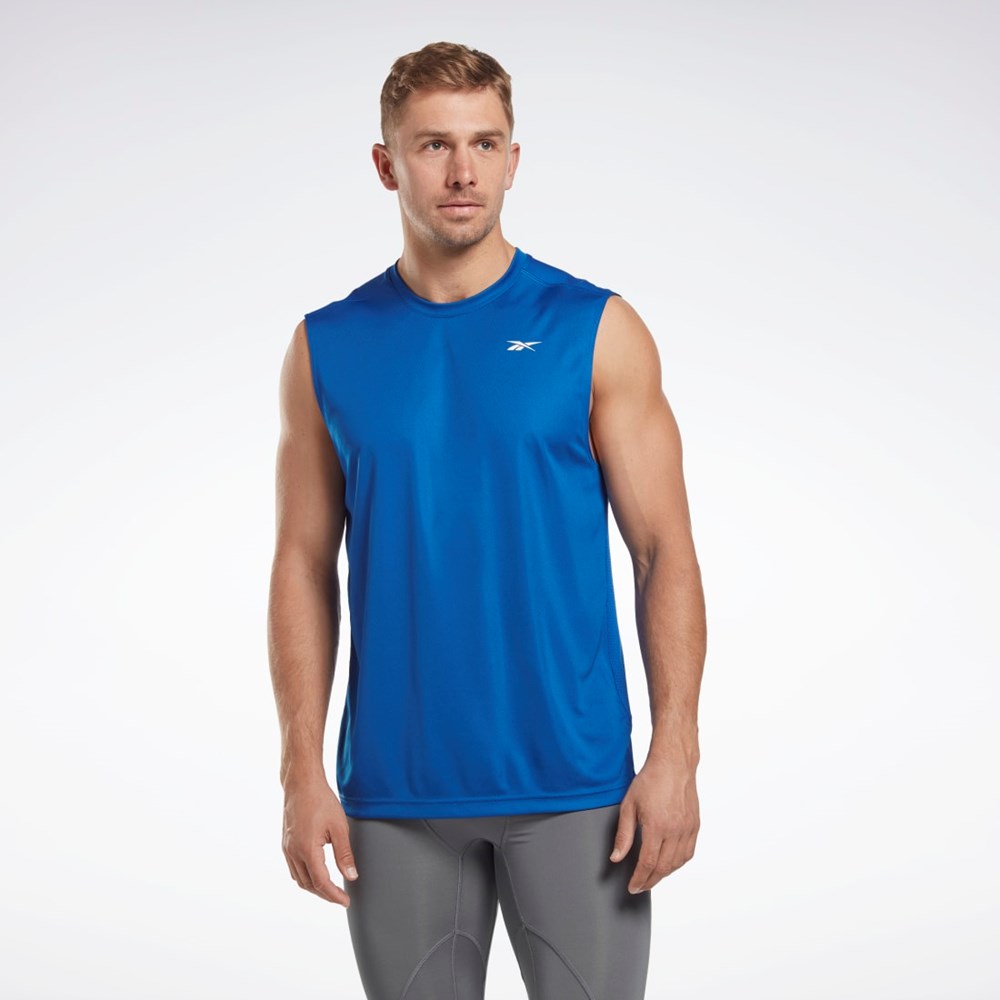 Reebok Workout Ready Hihattomat Tech T-Shirt Sininen | EMQIWJ-543