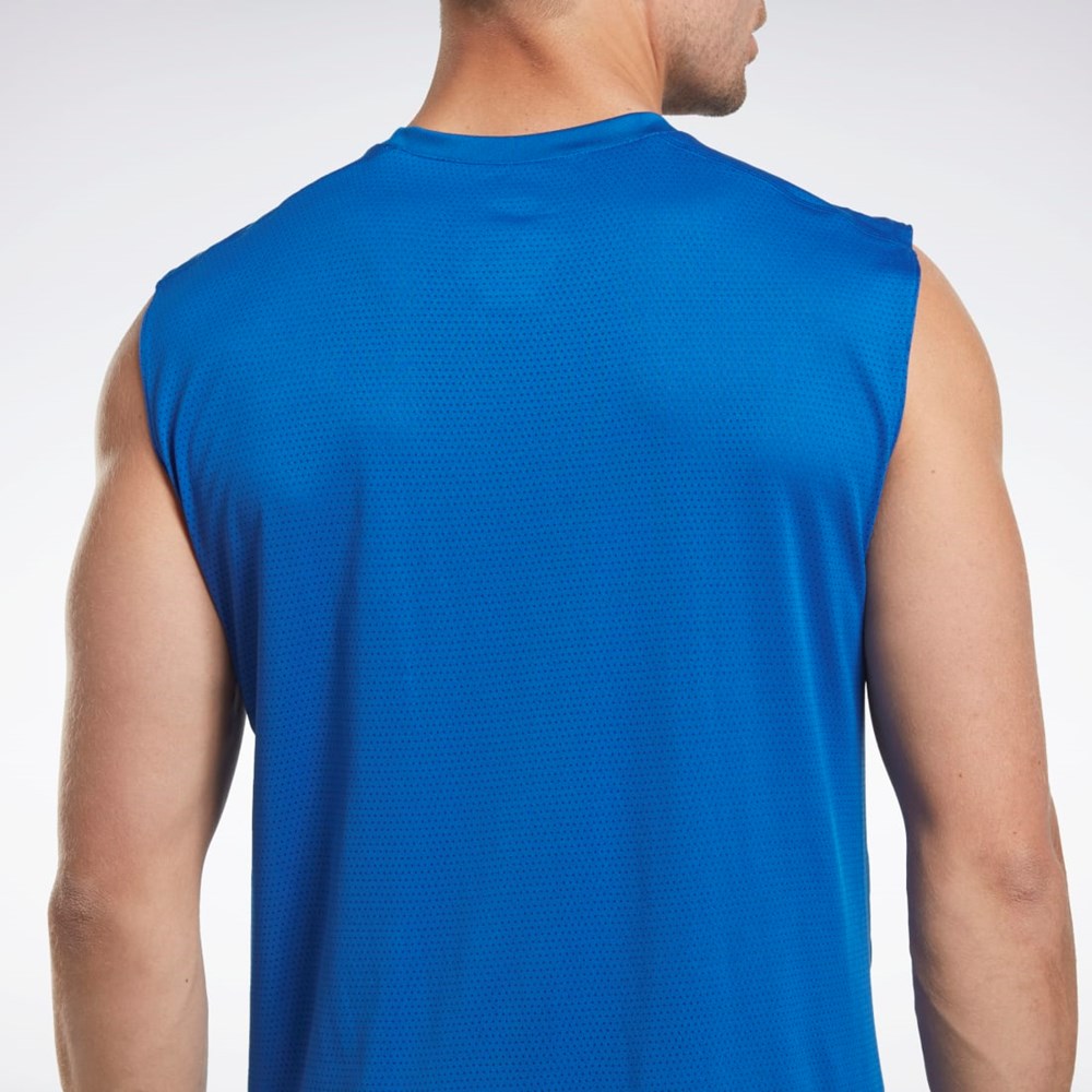 Reebok Workout Ready Hihattomat Tech T-Shirt Sininen | VYOLHC-574