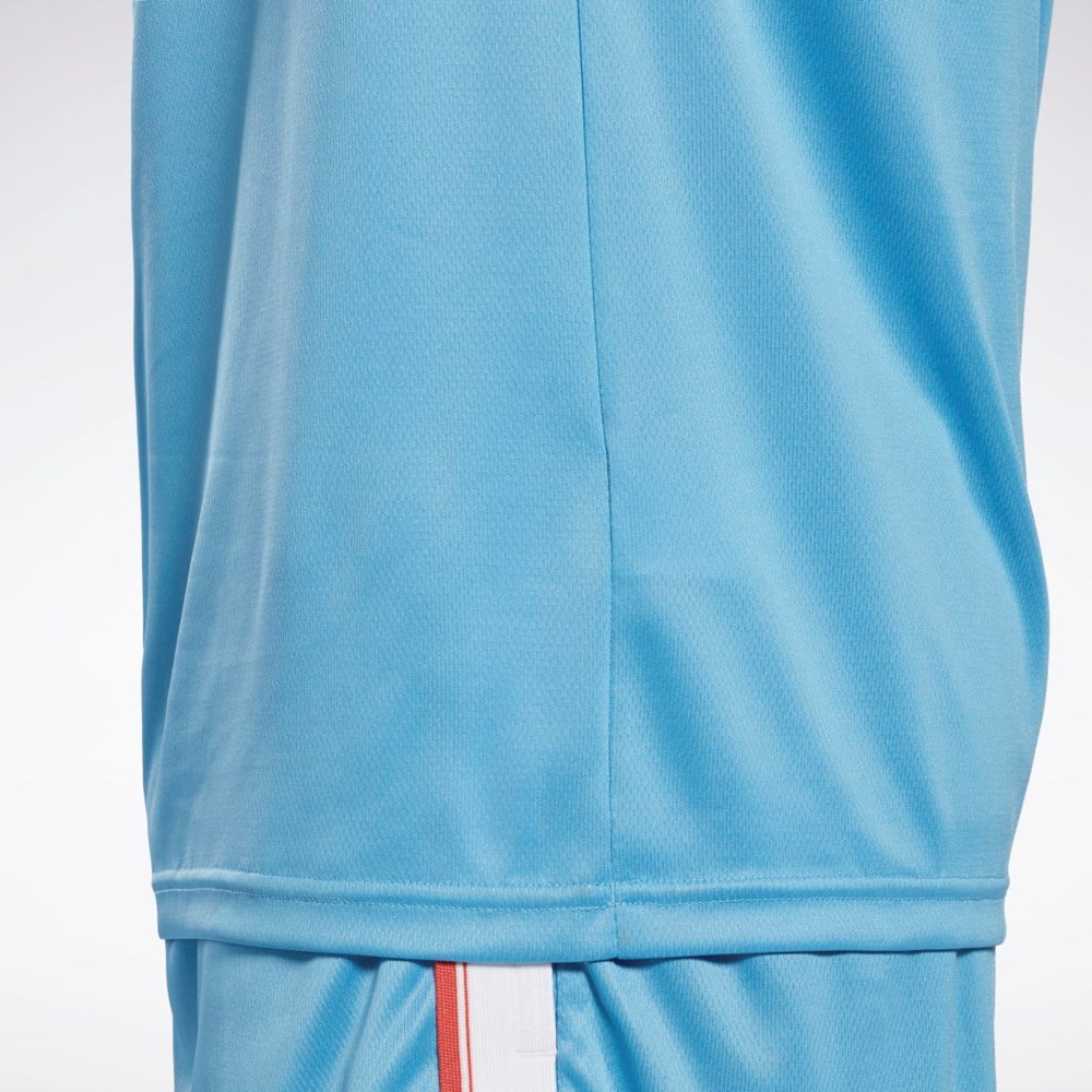 Reebok Workout Ready Mesh T-Shirt Sininen | NPKBYR-250