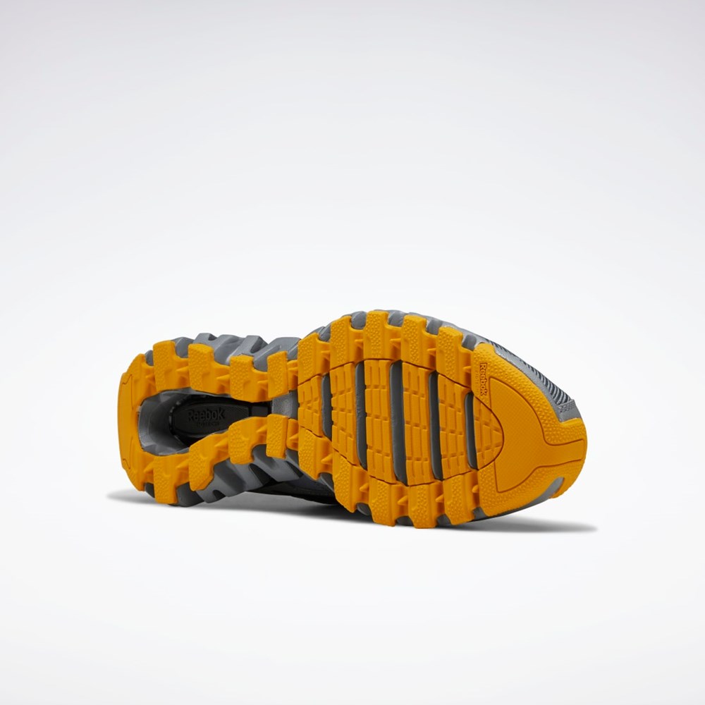 Reebok ZigWild Trail 6 Shoes Harmaat Harmaat | BIANYV-973
