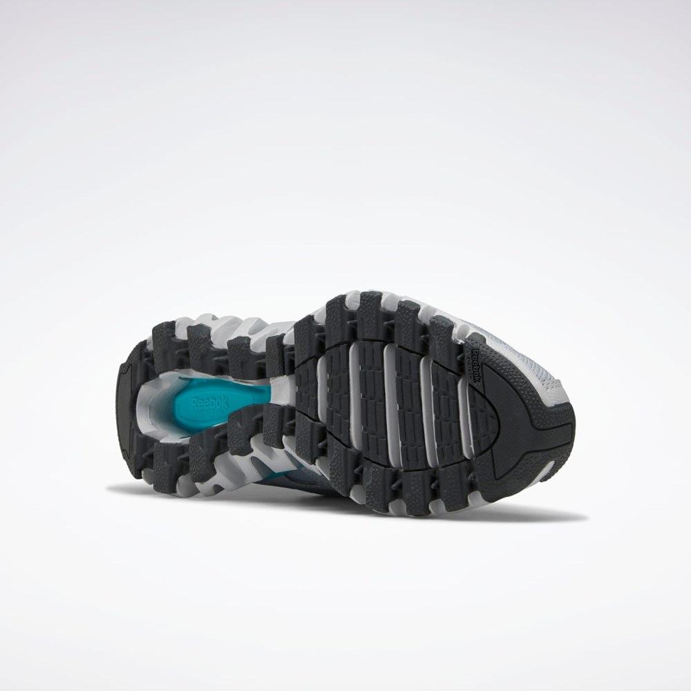 Reebok ZigWild Trail 6 Shoes Harmaat Harmaat | HCPSBV-235