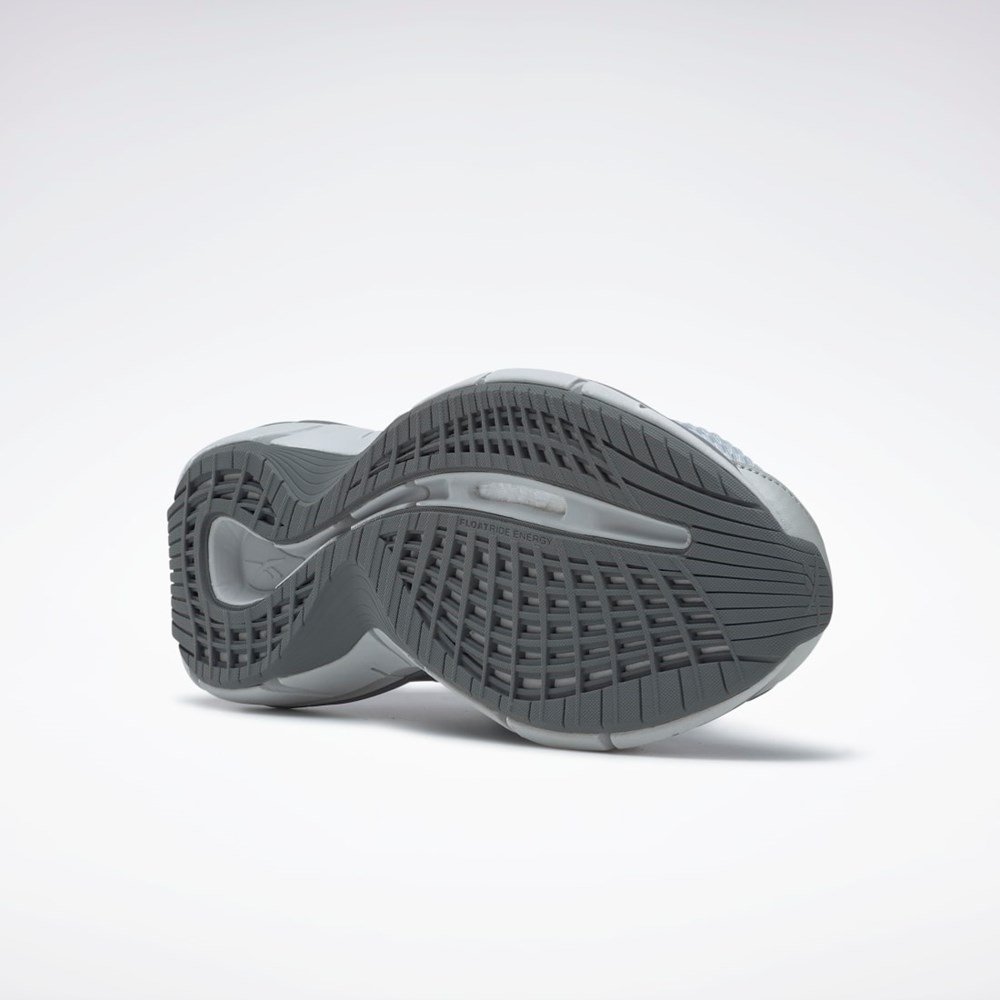 Reebok Zig Kinetica 2.5 Shoes Harmaat Harmaat | SCWIJD-019