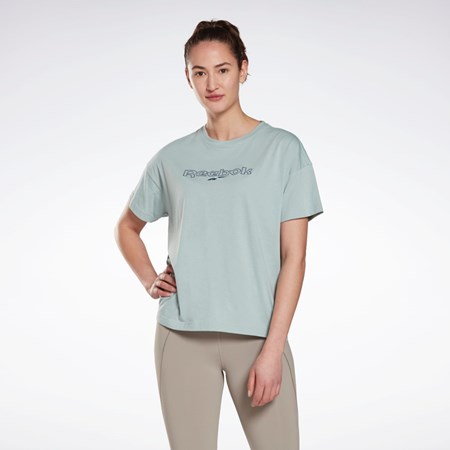 Reebok Brand T-Shirt Harmaat | MSINJR-407