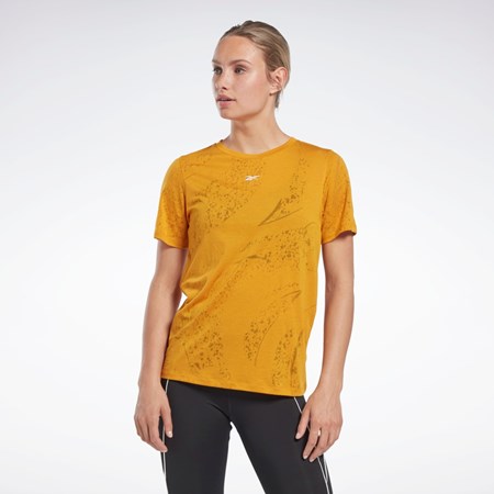 Reebok Burnout T-Shirt Bright Ochre | RMDIJX-413