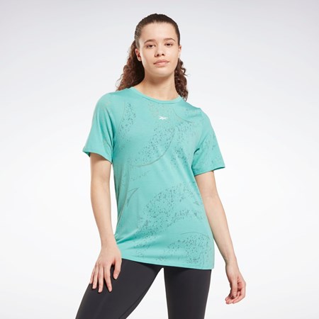 Reebok Burnout T-Shirt Semi Classic Teal | QAIWDT-374