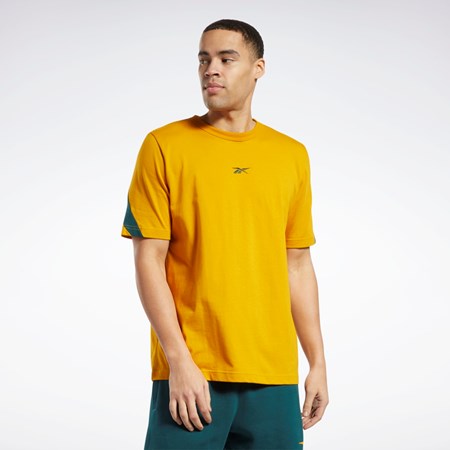 Reebok Classics Brand Proud T-Shirt Bright Ochre | KIWDCE-451