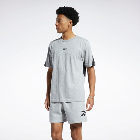 Reebok Classics Brand Proud T-Shirt Harmaat | XVJBAQ-234