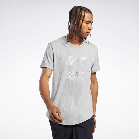 Reebok Classics Graafinen Tee Harmaat | UGOBSC-194