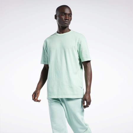Reebok Classics Natural Dye T-Shirt Vaalean | EKOUSI-830
