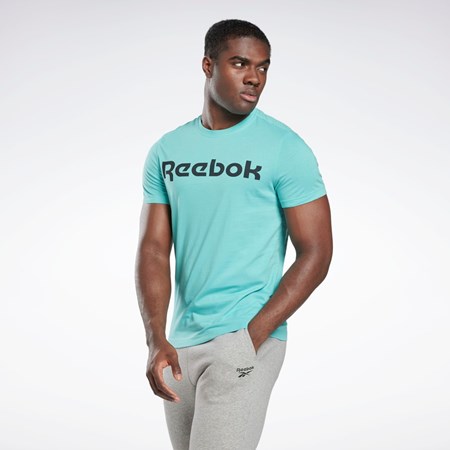 Reebok Graafinen Series Linear Logo Tee Semi Classic Teal | QGVHRB-328