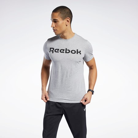 Reebok Graafinen Series Linear Logo Tee Harmaat | TEPKLV-926
