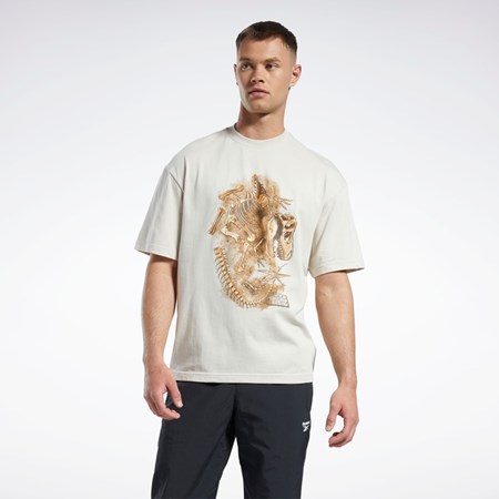 Reebok Jurassic World Fossil T-Shirt Stucco | KTZOMR-714