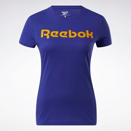 Reebok Koulutus Essentials Graafinen Tee Violetit | EPFQXK-450