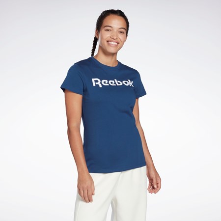 Reebok Koulutus Essentials Graafinen Tee Sininen | YXMSZP-301