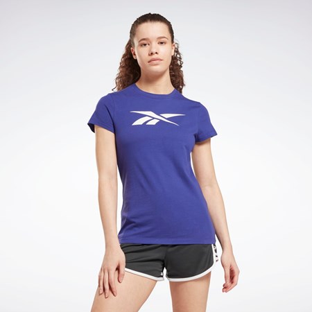 Reebok Koulutus Essentials Vector Graafinen Tee Violetit | MVHIKB-691