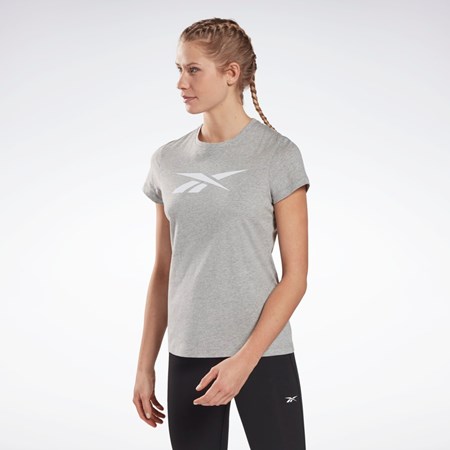 Reebok Koulutus Essentials Vector Graafinen Tee Harmaat | UDHQCW-130