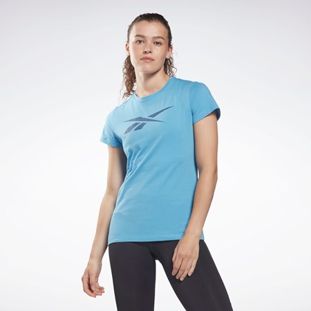 Reebok Koulutus Essentials Vector Graafinen Tee Sininen | YWCBRH-906