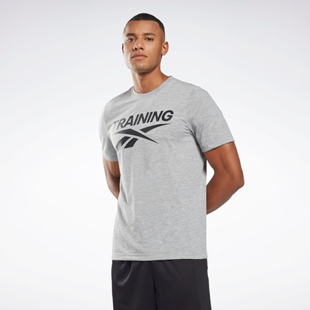 Reebok Reebok Graafinen Series T-Shirt Harmaat | JFZTLA-190