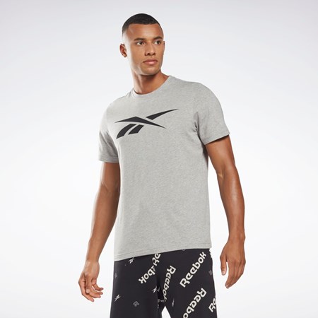Reebok Reebok Graafinen Series Vector T-Shirt Harmaat | IJEMQC-961