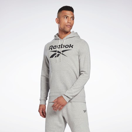 Reebok Reebok Identity Big Logo Hoodie Harmaat Mustat | RTNASI-758