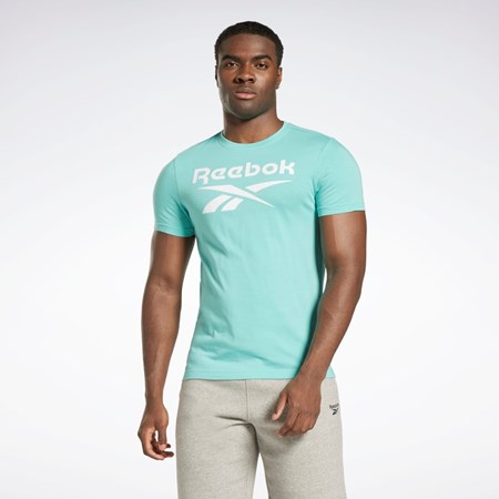 Reebok Reebok Identity Big Logo T-Shirt Semi Classic Teal | BUZCWY-052