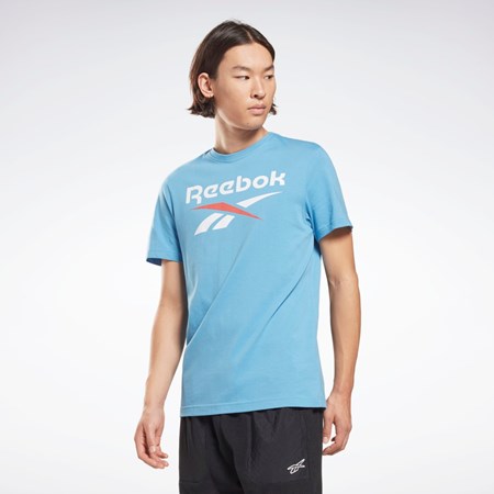 Reebok Reebok Identity Big Logo T-Shirt Sininen | CXATHB-472